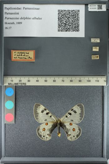 Media type: image;   Entomology 180360